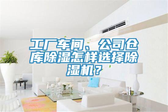 工厂车间、公司仓库除湿怎样选择91免费网站在线观看？
