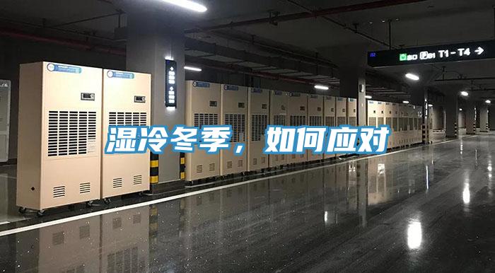 湿冷冬季，如何应对