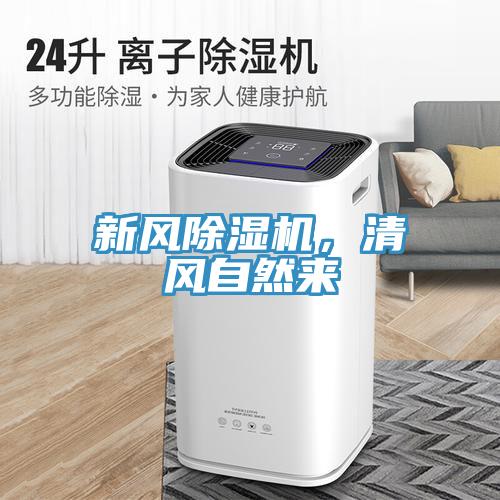 新风91免费网站在线观看，清风自然来