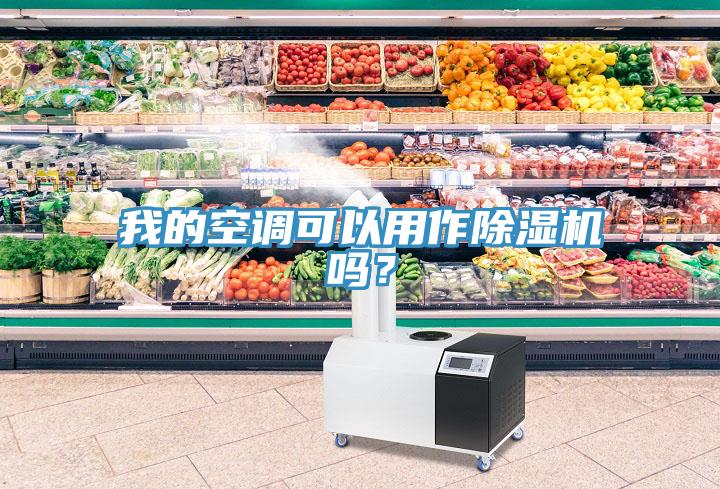 我的空调可以用作91免费网站在线观看吗？
