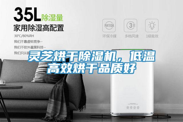 灵芝烘干91免费网站在线观看，低温高效烘干品质好