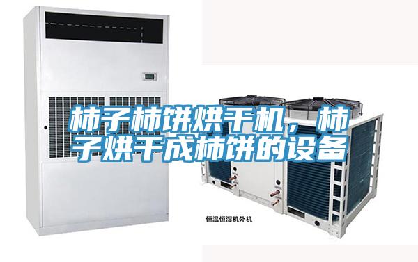 柿子柿饼烘干机，柿子烘干成柿饼的设备