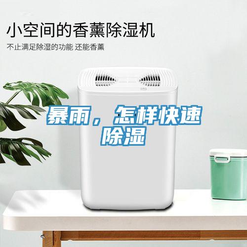 暴雨，怎样快速除湿