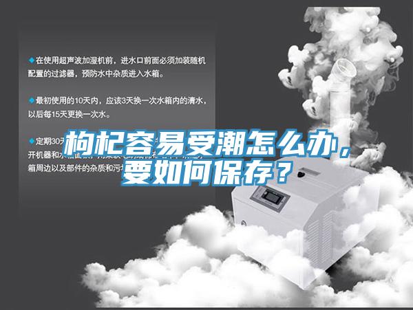 枸杞容易受潮怎么办，要如何保存？