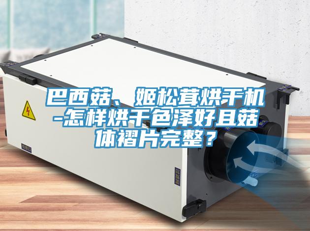 巴西菇、姬松茸烘干机-怎样烘干色泽好且菇体褶片完整？
