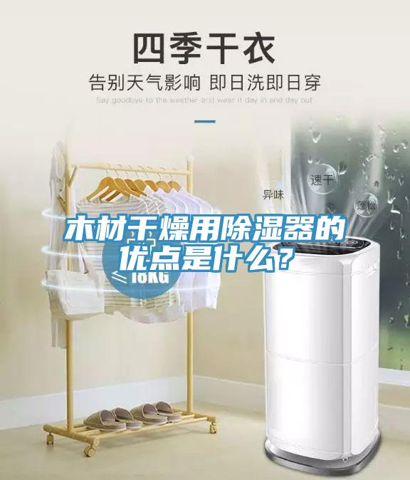 木材干燥用除湿器的优点是什么？