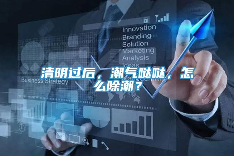 清明过后，潮气哒哒，怎么除潮？