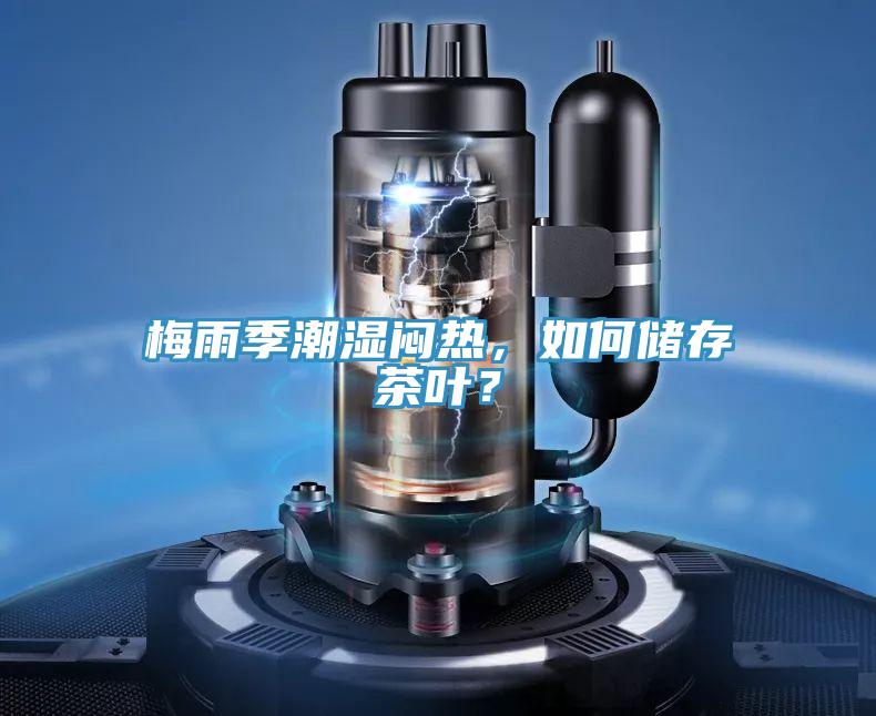 梅雨季潮湿闷热，如何储存茶叶？