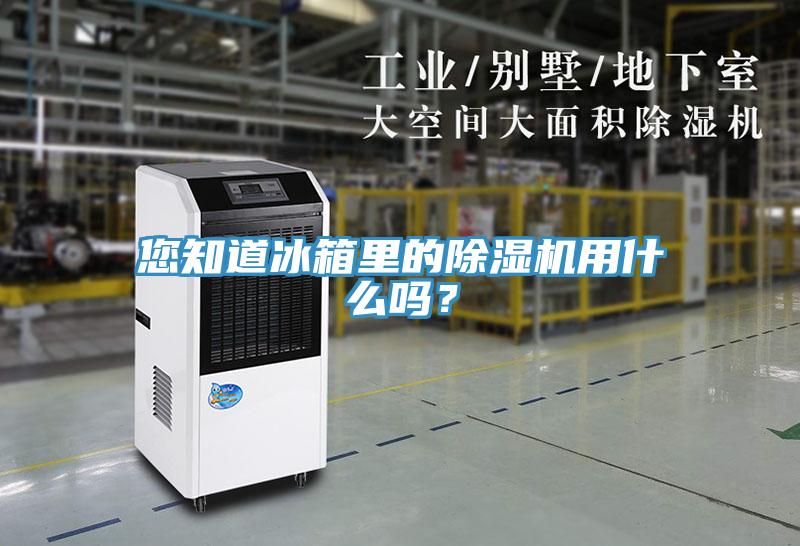 您知道冰箱里的91免费网站在线观看用什么吗？