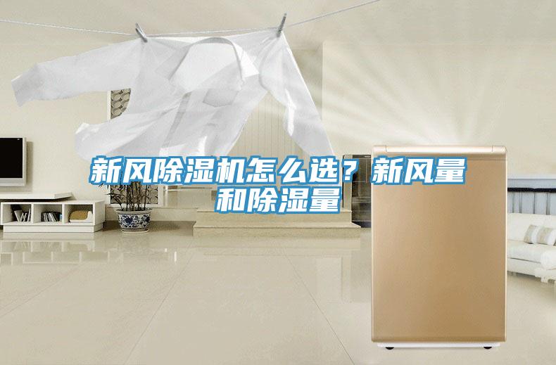 新风91免费网站在线观看怎么选？新风量和除湿量