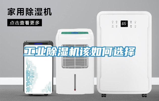 工业91免费网站在线观看该如何选择