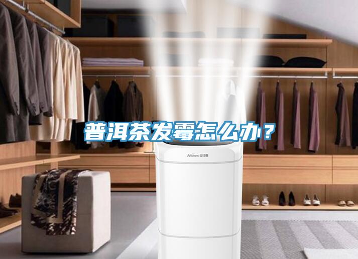 普洱茶发霉怎么办？