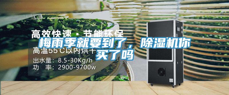 梅雨季就要到了，91免费网站在线观看你买了吗