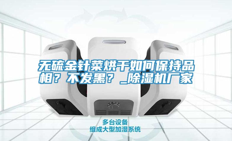 无硫金针菜烘干如何保持品相？不发黑？_91免费网站在线观看厂家