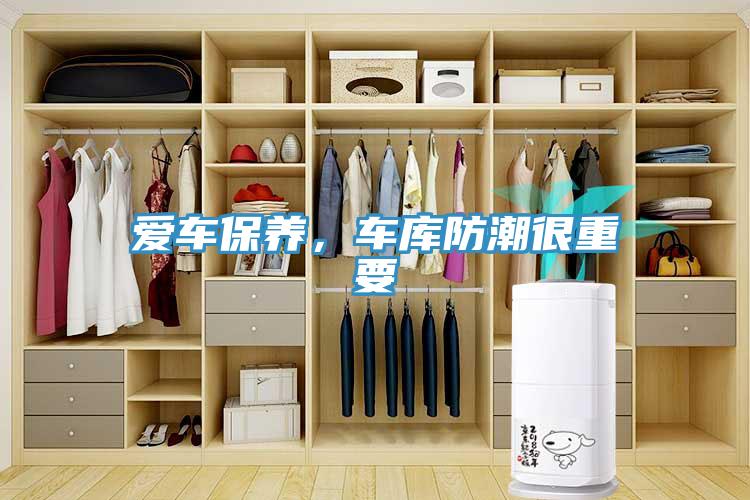 爱车保养，车库防潮很重要
