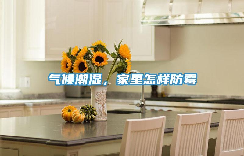 气候潮湿，家里怎样防霉