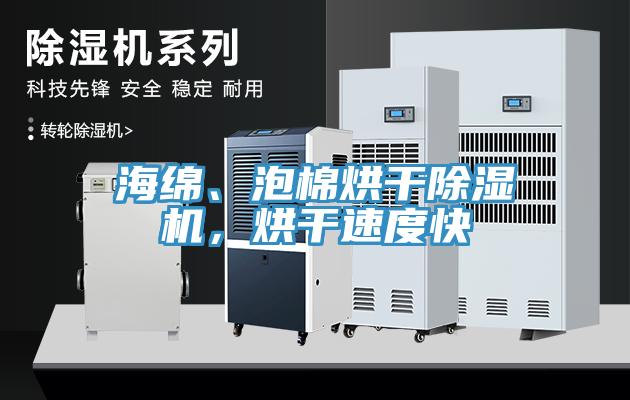 海绵、泡棉烘干91免费网站在线观看，烘干速度快