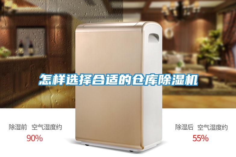 怎样选择合适的仓库91免费网站在线观看