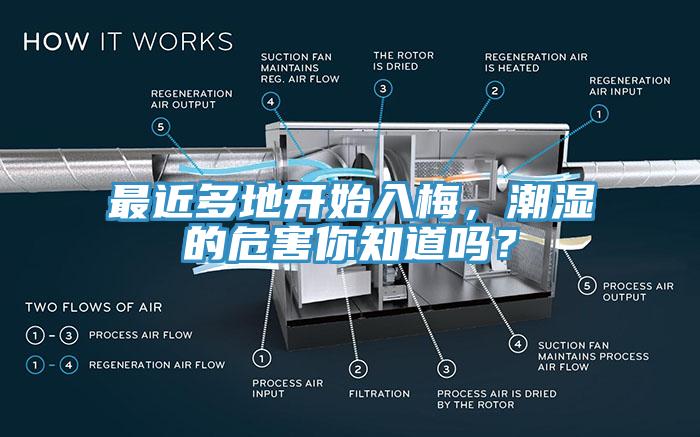 最近多地开始入梅，潮湿的危害你知道吗？