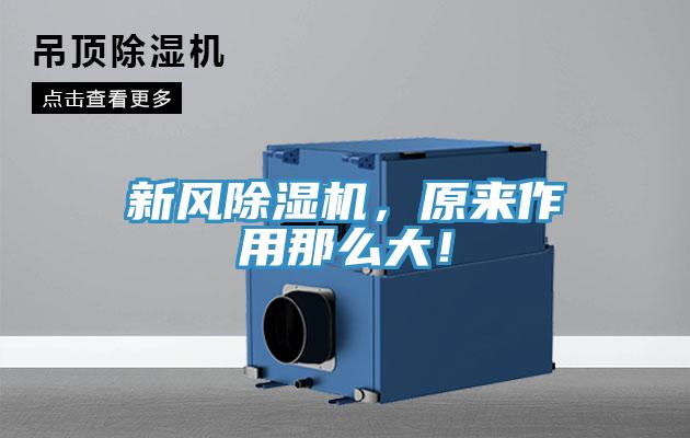 新风91免费网站在线观看，原来作用那么大！