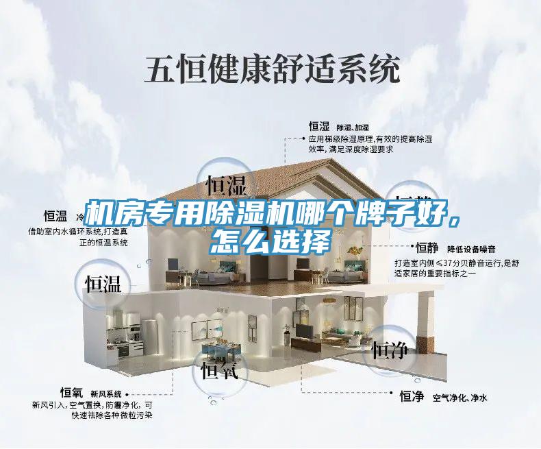 机房专用91免费网站在线观看哪个牌子好，怎么选择