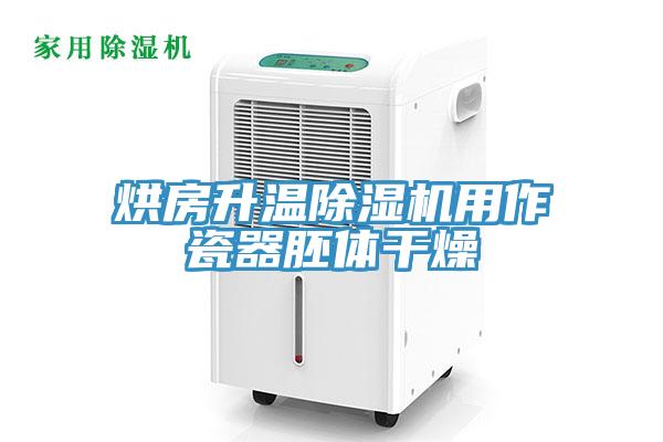 烘房升温91免费网站在线观看用作瓷器胚体干燥
