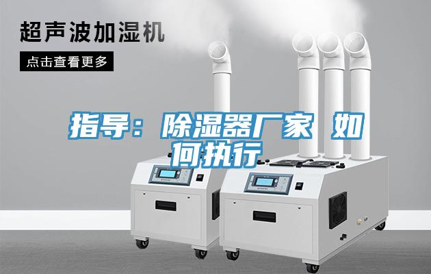 指导：除湿器厂家 如何执行