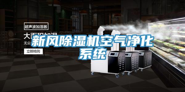 新风91免费网站在线观看空气净化系统