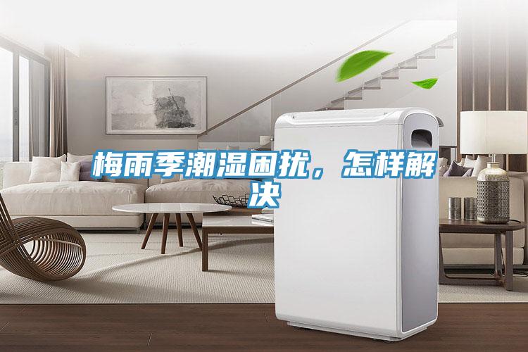 梅雨季潮湿困扰，怎样解决