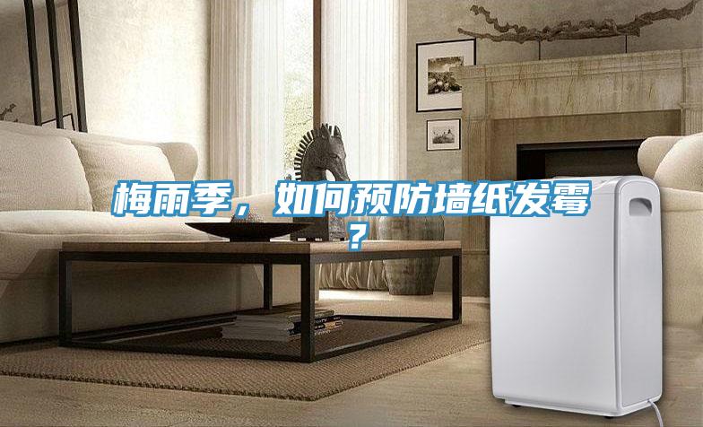 梅雨季，如何预防墙纸发霉？
