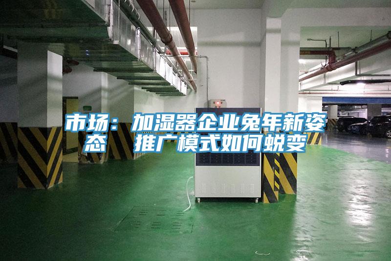 市场：加湿器企业兔年新姿态  推广模式如何蜕变