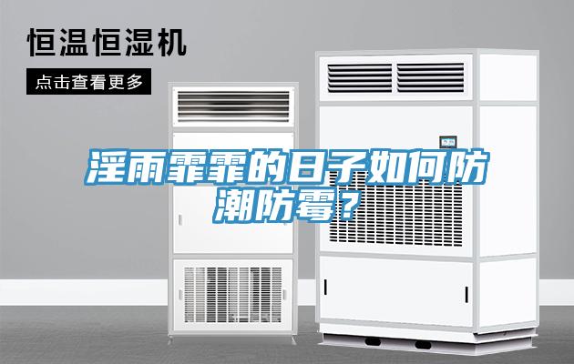 淫雨霏霏的日子如何防潮防霉？