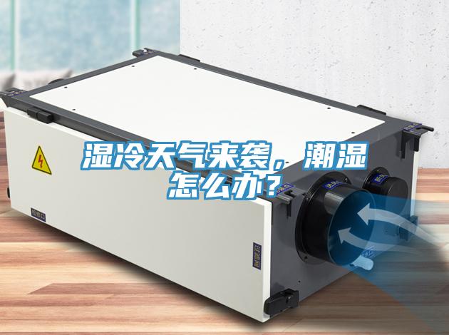 湿冷天气来袭，潮湿怎么办？