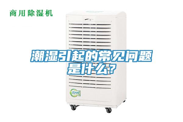 潮湿引起的常见问题是什么？