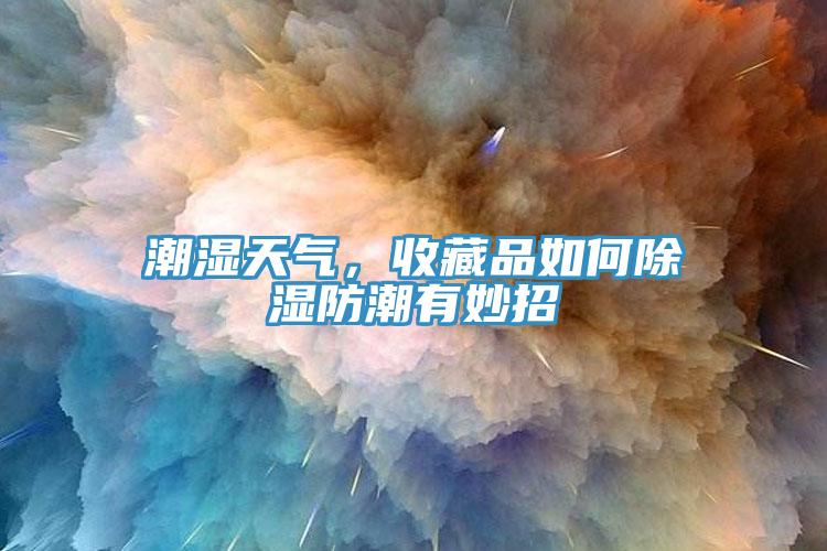 潮湿天气，收藏品如何除湿防潮有妙招
