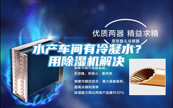 水产车间有冷凝水？用91免费网站在线观看解决
