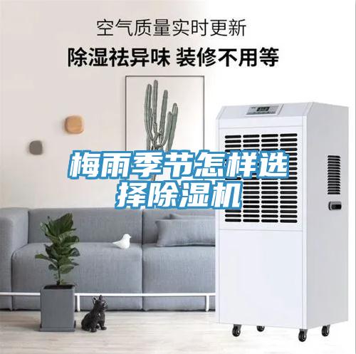梅雨季节怎样选择91免费网站在线观看