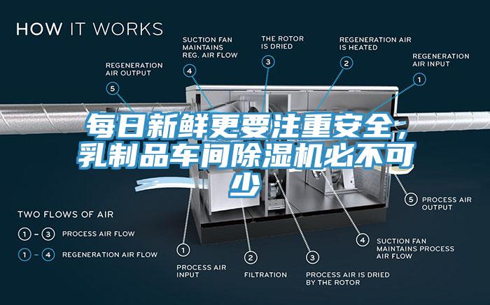 每日新鲜更要注重安全，乳制品车间91免费网站在线观看必不可少