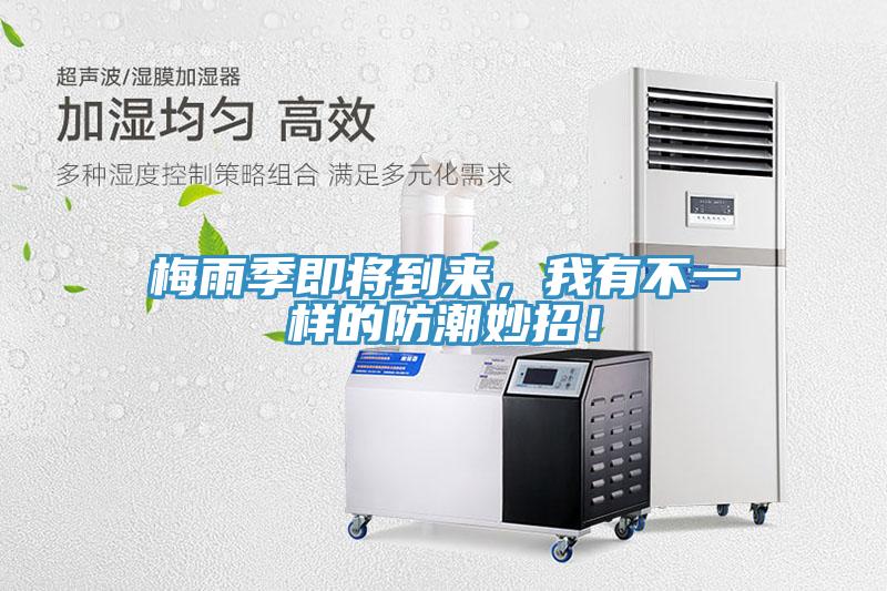 梅雨季即将到来，我有不一样的防潮妙招！