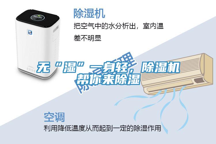 无“湿”一身轻，91免费网站在线观看帮你来除湿