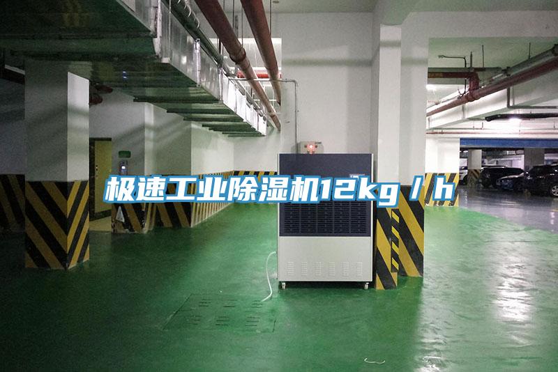 极速工业91免费网站在线观看12kg／h