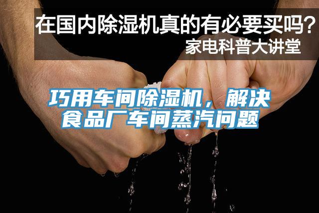 巧用车间91免费网站在线观看，解决食品厂车间蒸汽问题