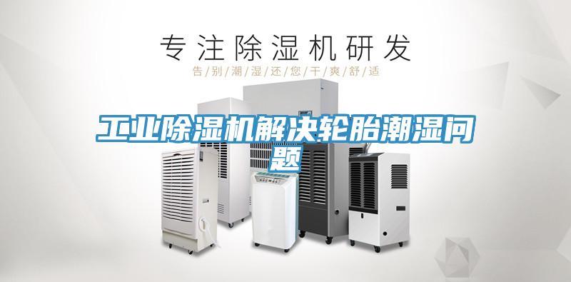 工业91免费网站在线观看解决轮胎潮湿问题