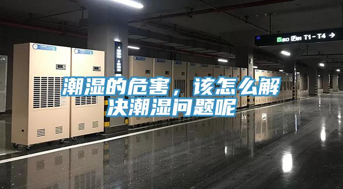 潮湿的危害，该怎么解决潮湿问题呢