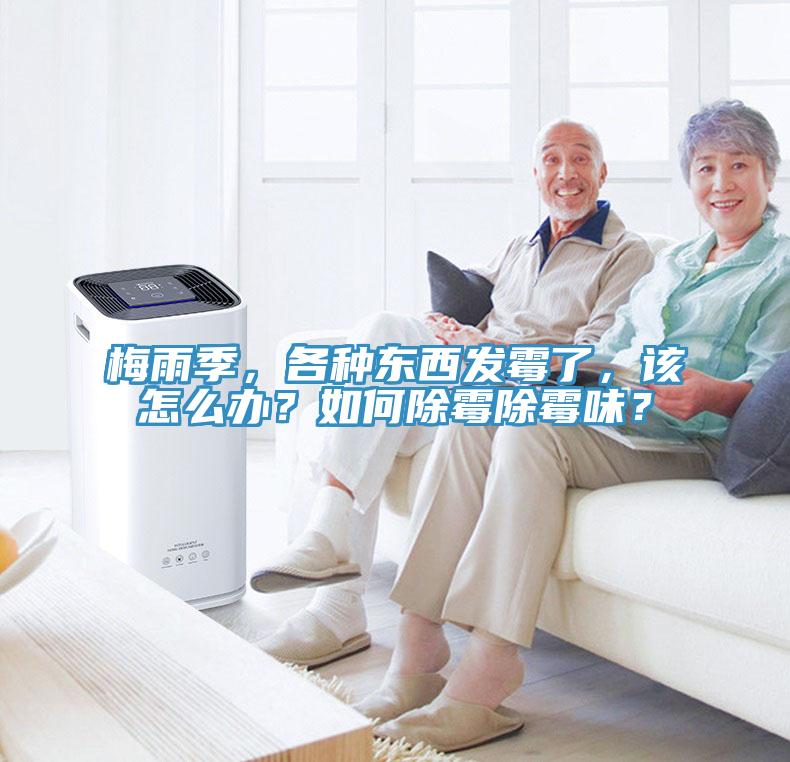 梅雨季，各种东西发霉了，该怎么办？如何除霉除霉味？