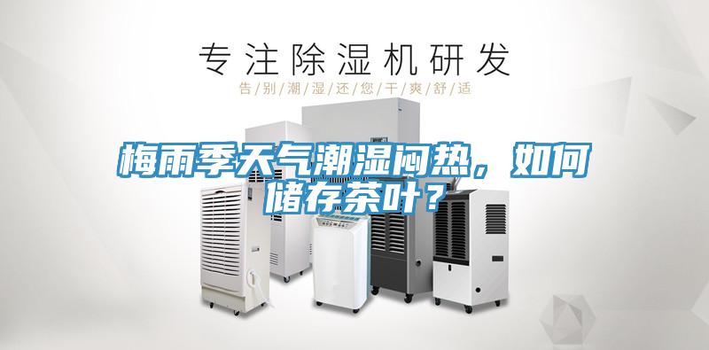 梅雨季天气潮湿闷热，如何储存茶叶？