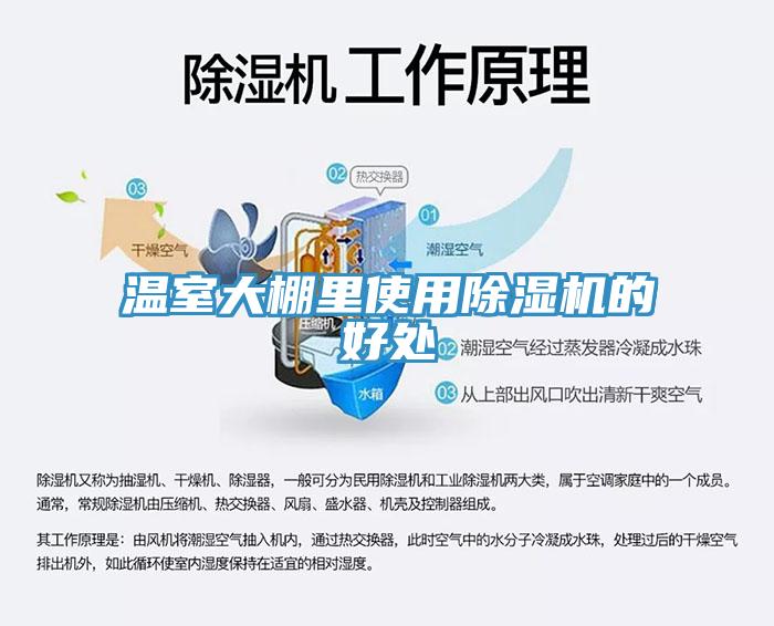 温室大棚里使用91免费网站在线观看的好处