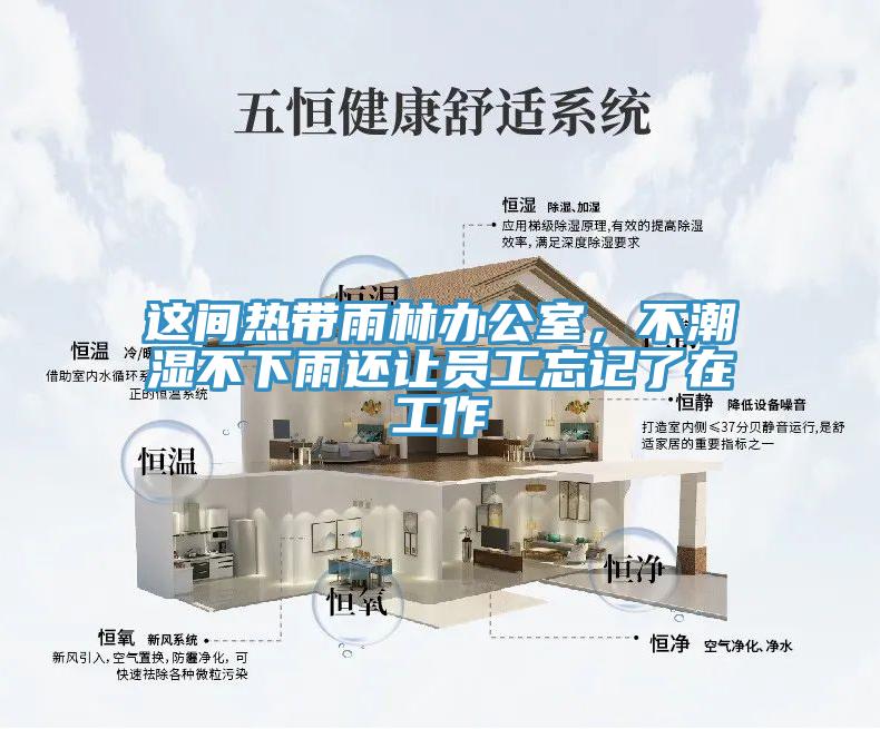 这间热带雨林办公室，不潮湿不下雨还让员工忘记了在工作