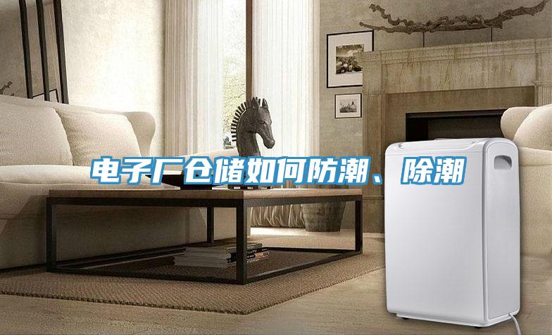 电子厂仓储如何防潮、除潮