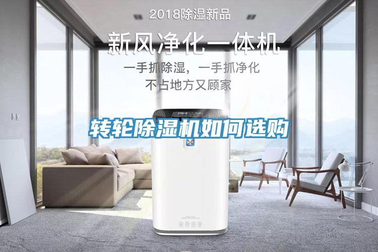 转轮91免费网站在线观看如何选购